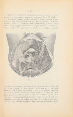 Руководство к хирургической анатомии. [В 2 ч.]. [Ч. 2: Таз, верхние и нижние конечности]. М.: Высочайше утвержденное т-во «Печатня С.П. Яковлева», 1893.